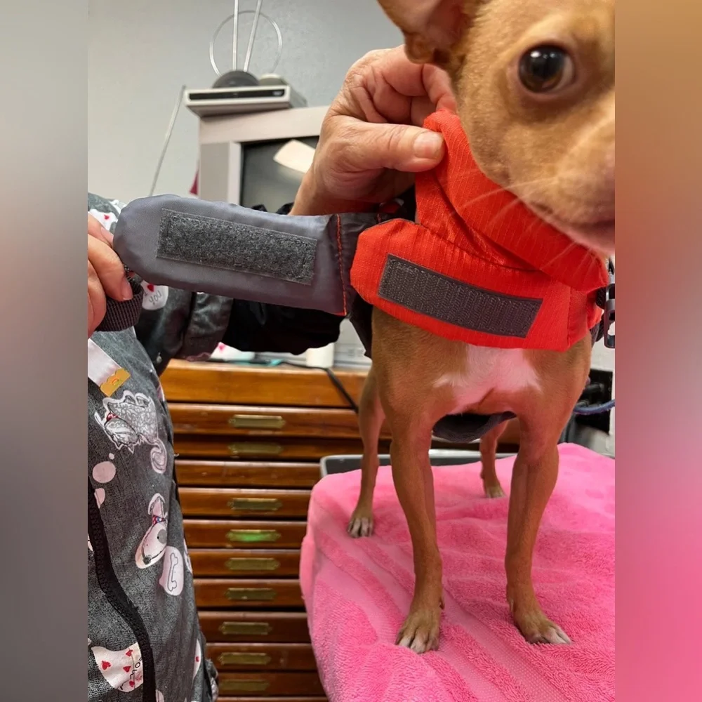 Outward Hound Red Dog Life Jacket